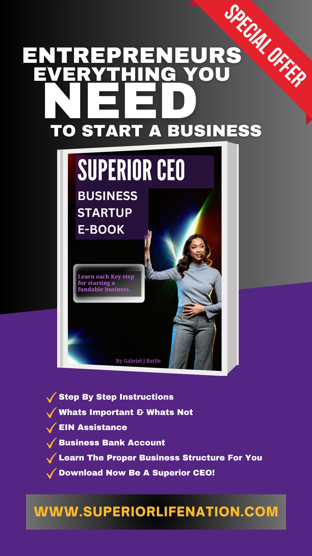 Superior CEO Business Startup E-Book