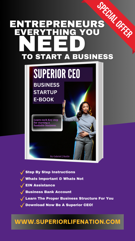 Superior CEO Business Startup E-Book